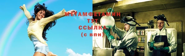 индика Гусев