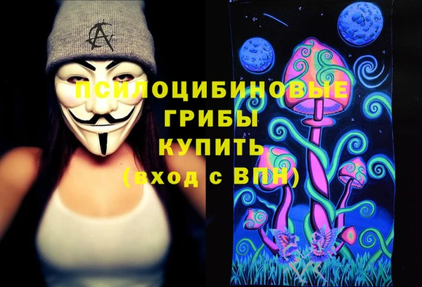 дурь Наволоки