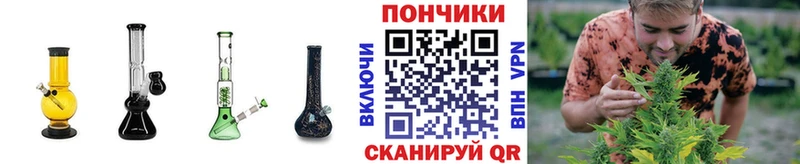 как найти   Семикаракорск  МАРИХУАНА планчик 